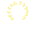 www.digitalstories-project.eu